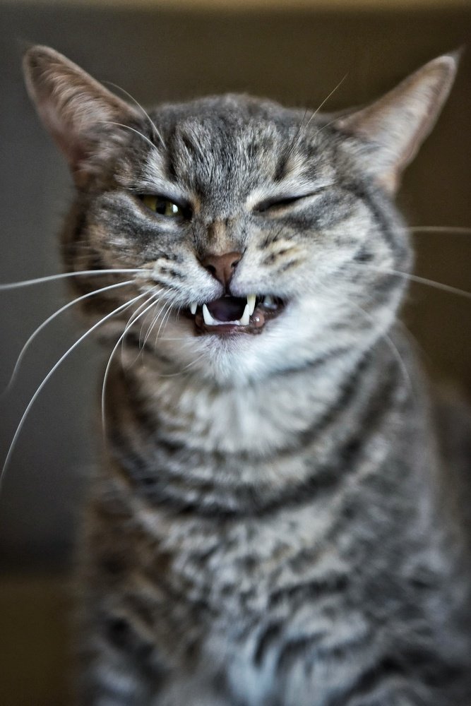 Photograph by Владимир Леликов-Кузьменко