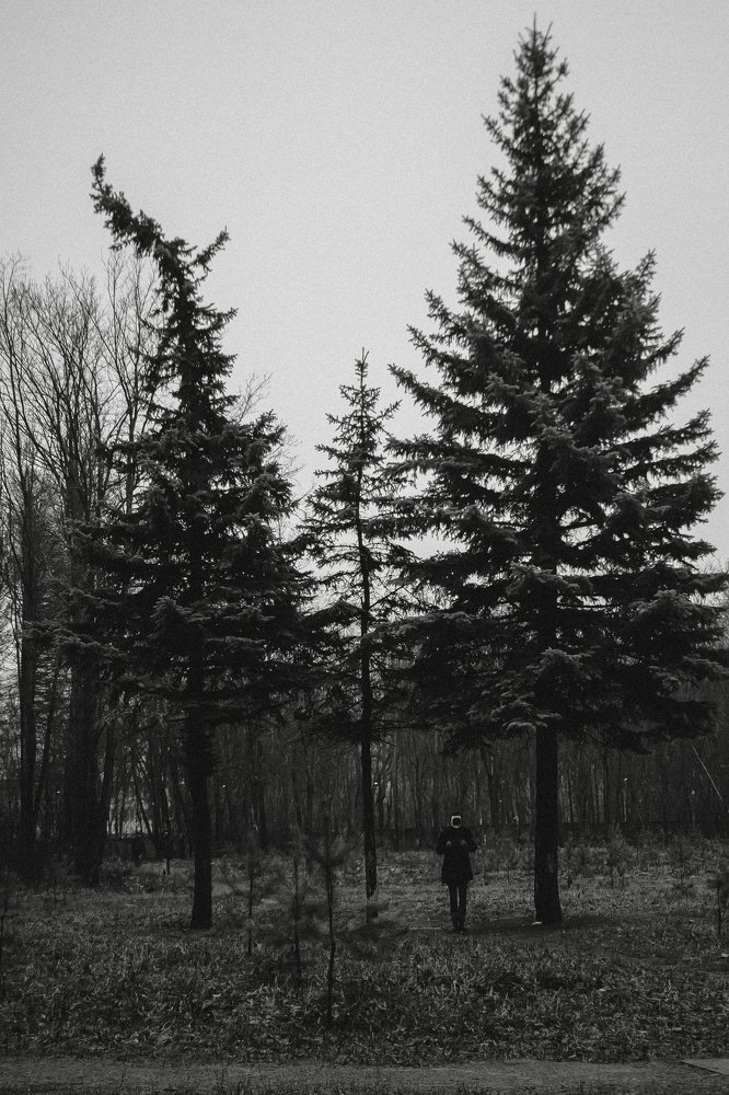 Фотография автора KIRILL ERMOLAEV