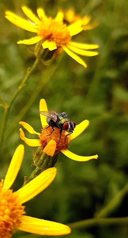 Photograph by Саламбек Ханкушов