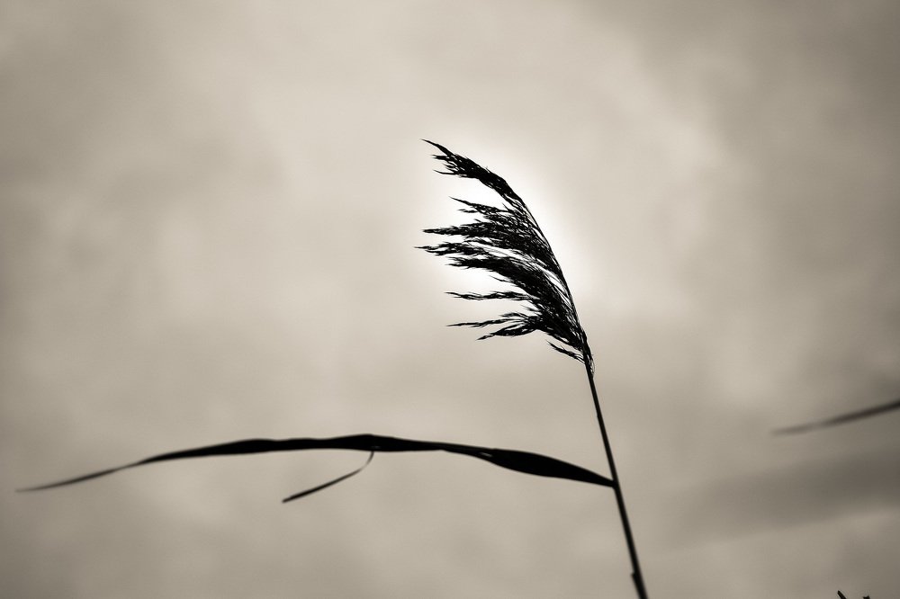 Photograph by Marius Žvikas