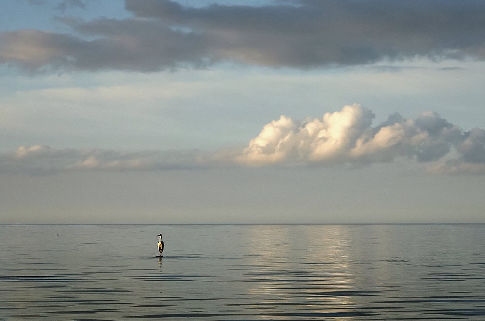 Photograph by Juris Buklovskis