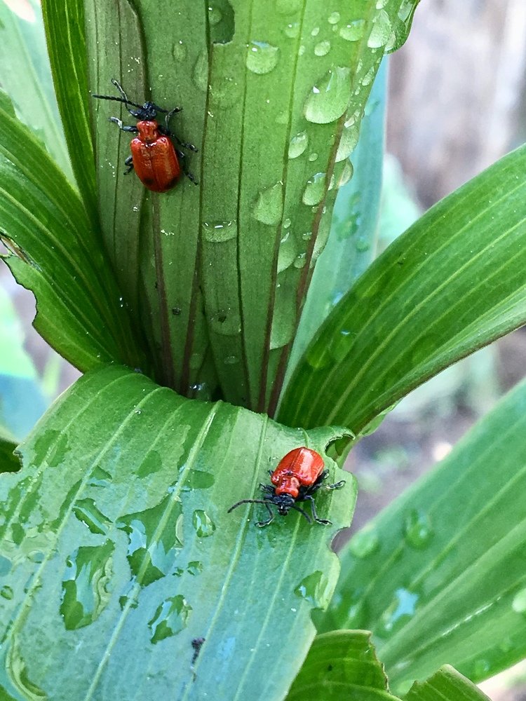 Photograph by Алина Смирнова