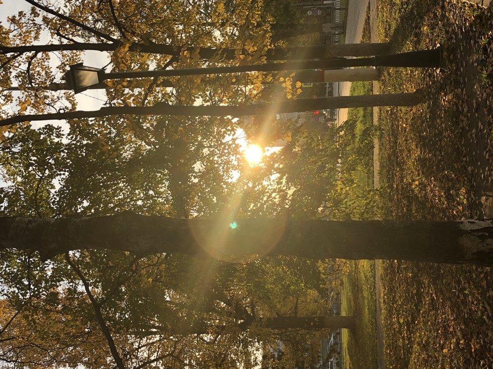 Photograph by Алена Жирова