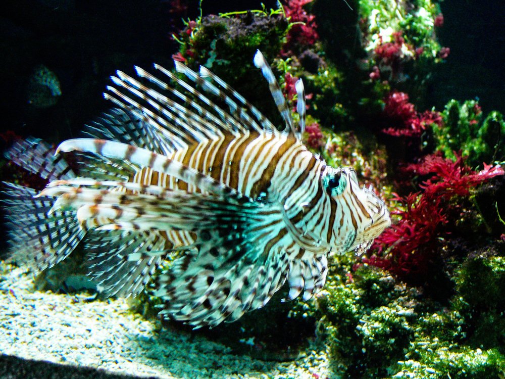 Photograph by Milan Sláma