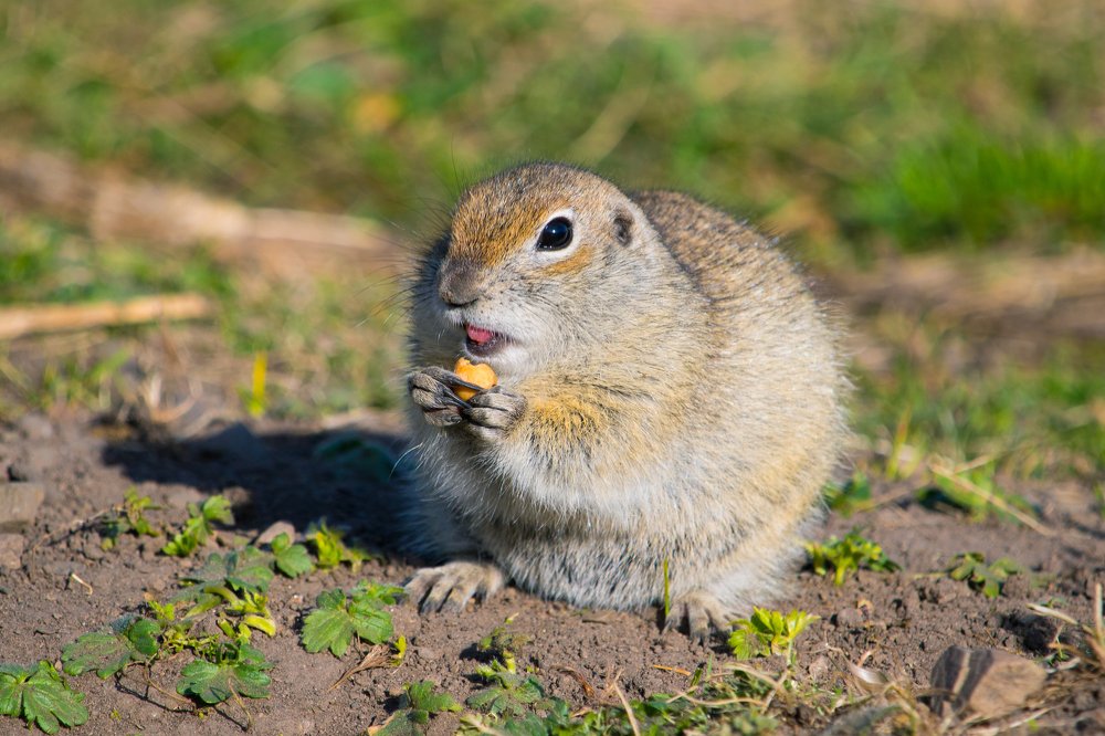Photograph by Евгения Зотова