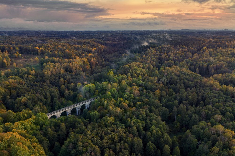 Photograph by Дмитрий Леонидов