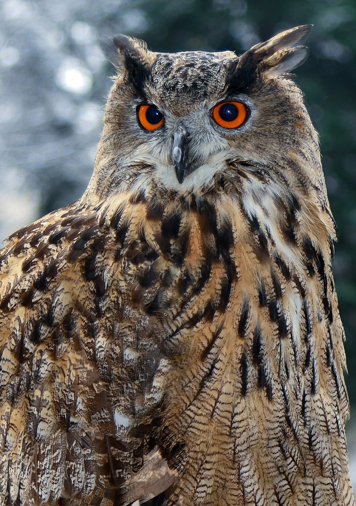 Фотография автора Юлия Носова