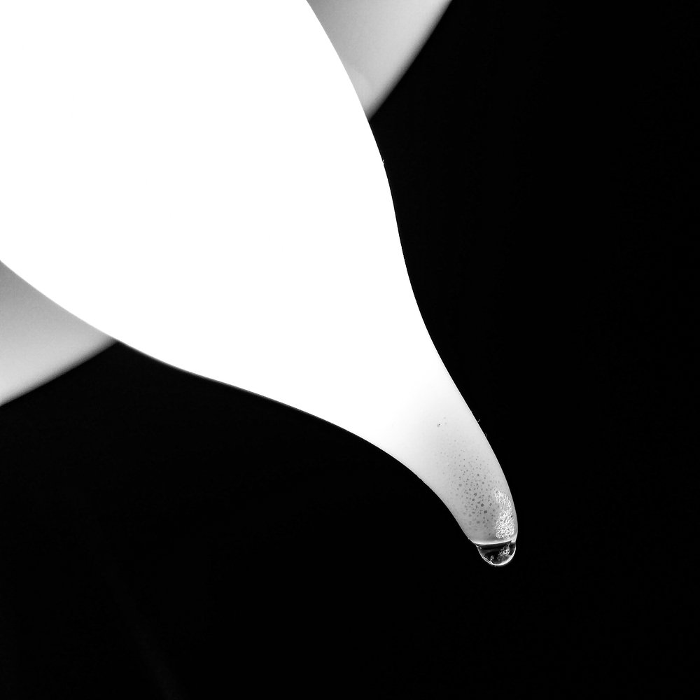 Photograph by Павел Синегубов