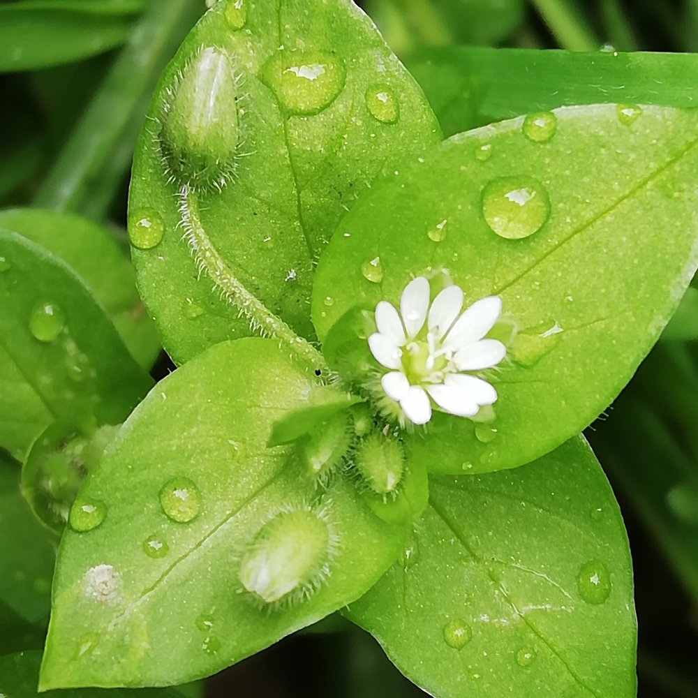 После Дождя