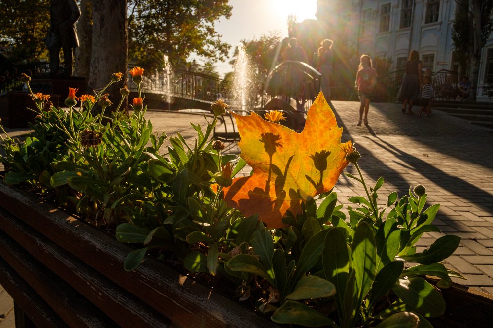 Photograph by Павел Синегубов