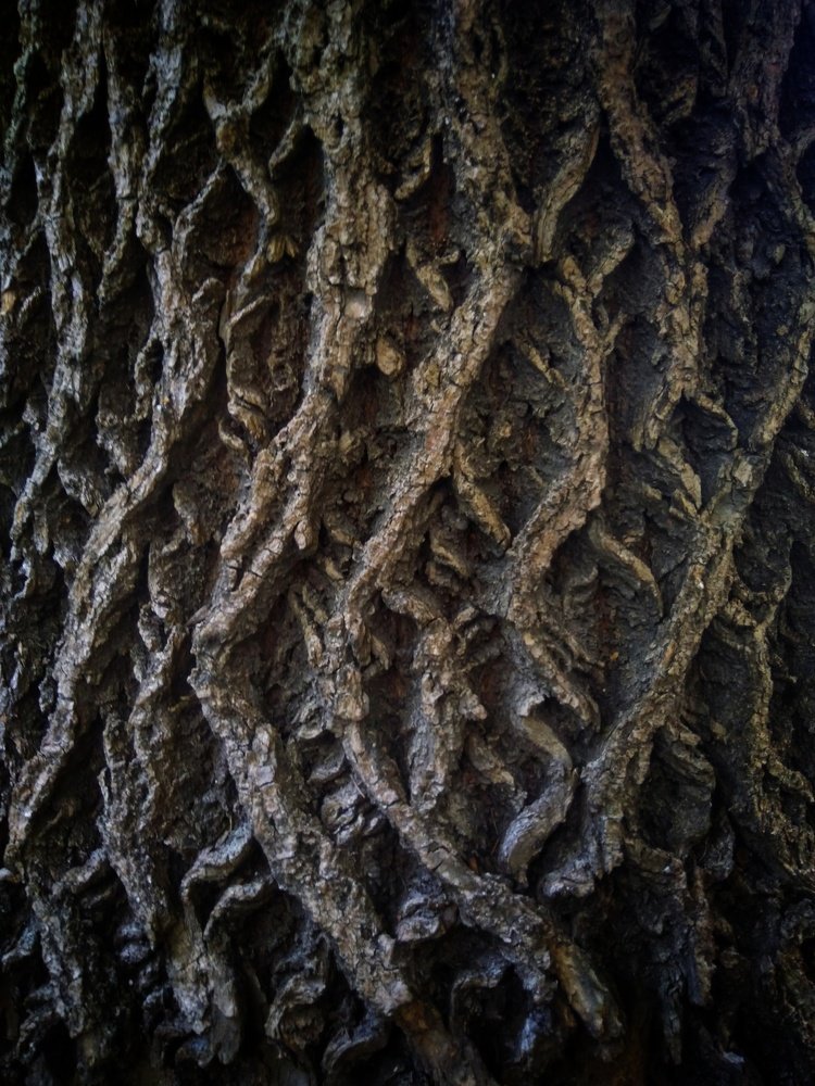 Фотография автора Виктор Конев