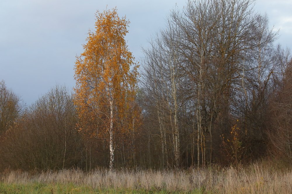 Photograph by Мария Харлашова