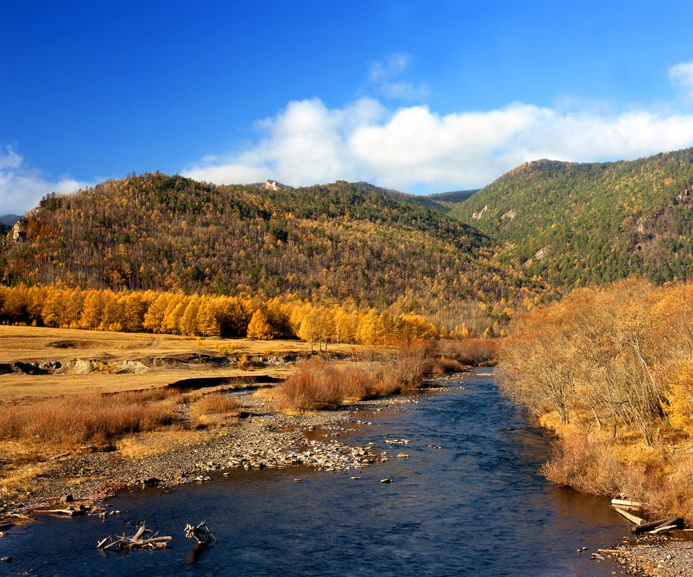 Фотография автора Игорь Железняк