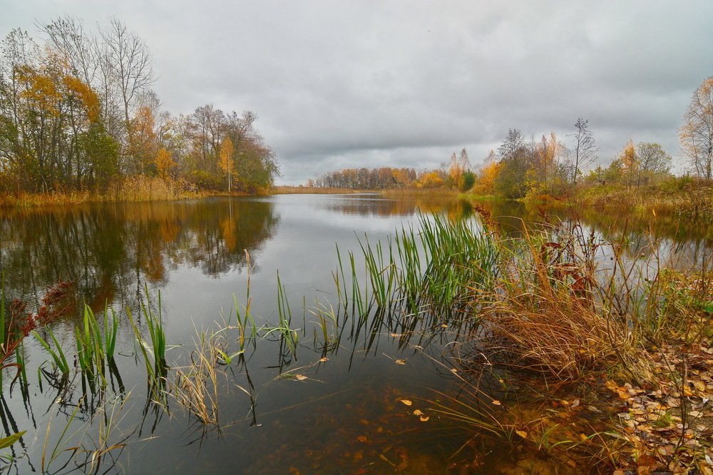 Тихая заводь