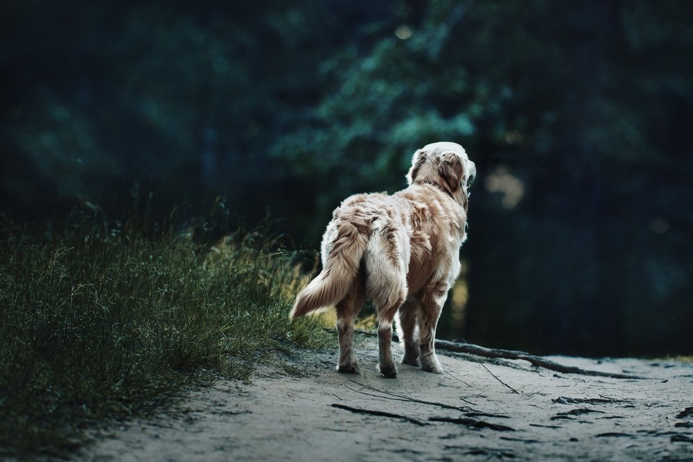 Photograph by Вероника Саратовцева