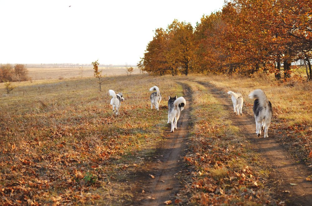 Фотография автора Виктория