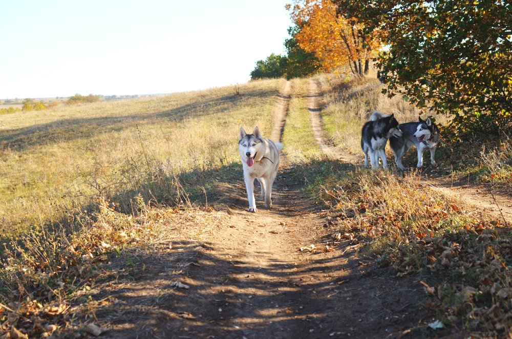 Фотография автора Виктория