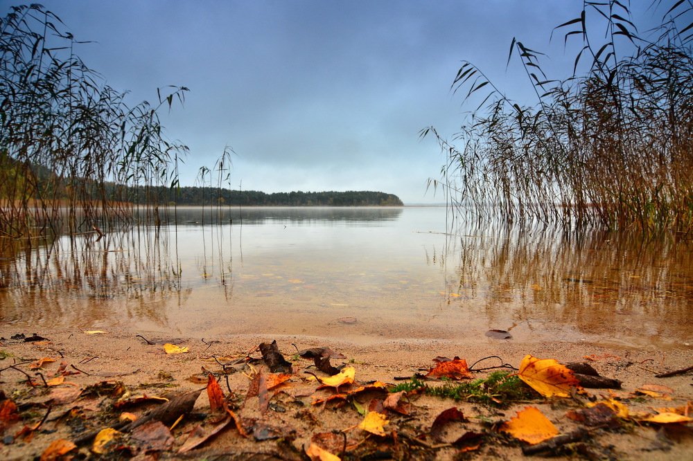 Осенний Селигер