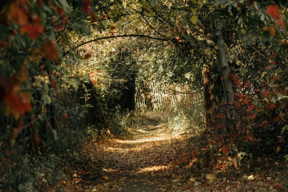 Фотография автора Виктория