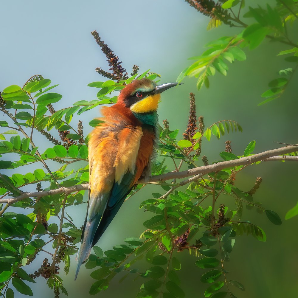 Photograph by Alexander Plekhanov