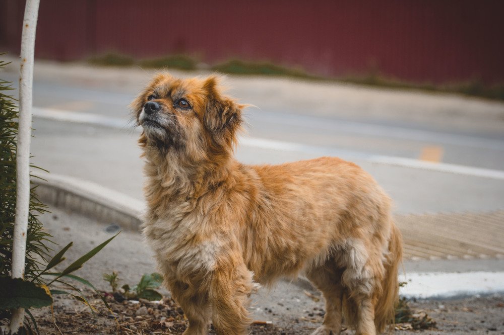 Photograph by Мика Саркисова