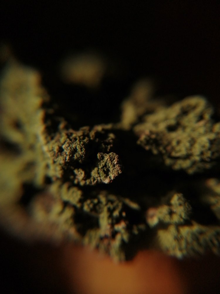 Photograph by Ольга Мокрова