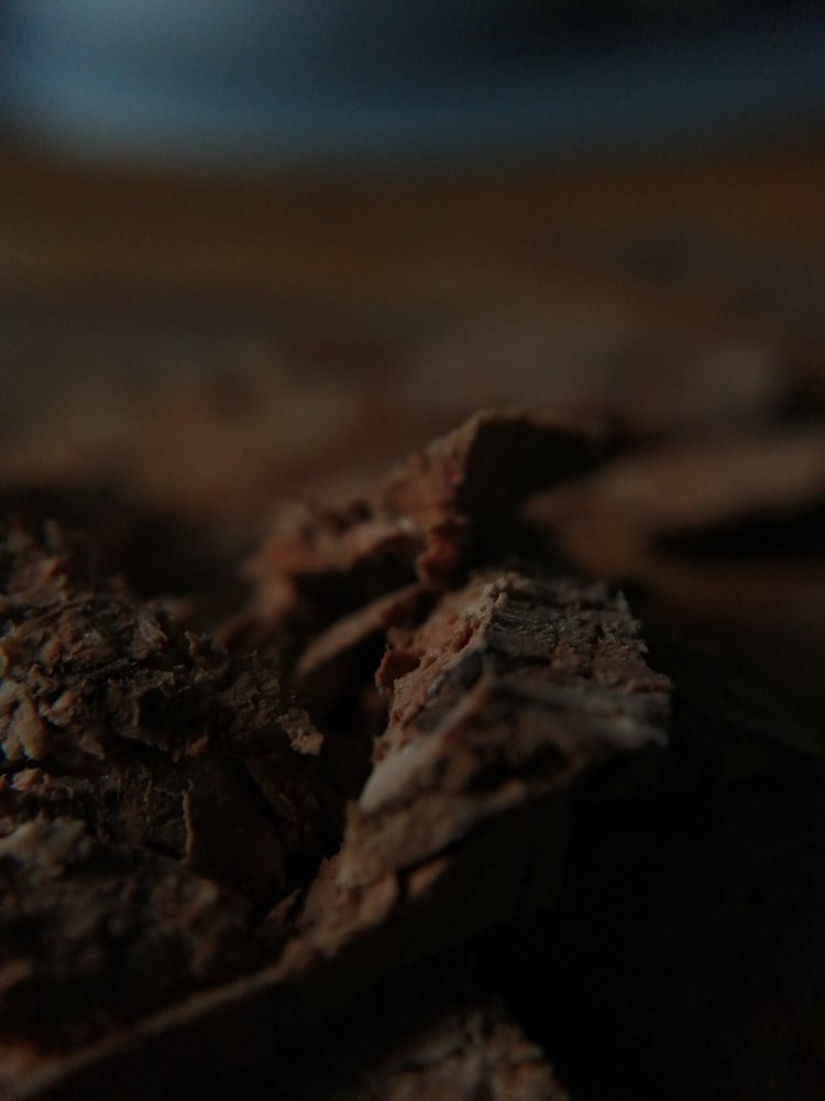 Photograph by Ольга Мокрова