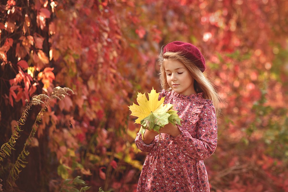 Осенние мечты