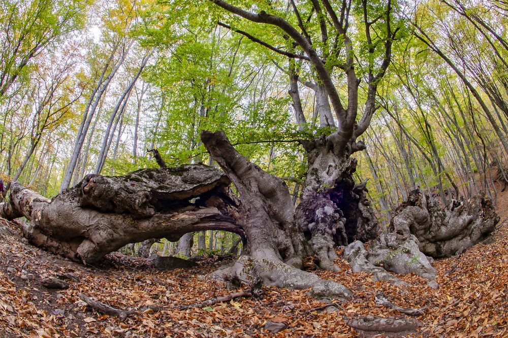 Photograph by Александр Щербаков