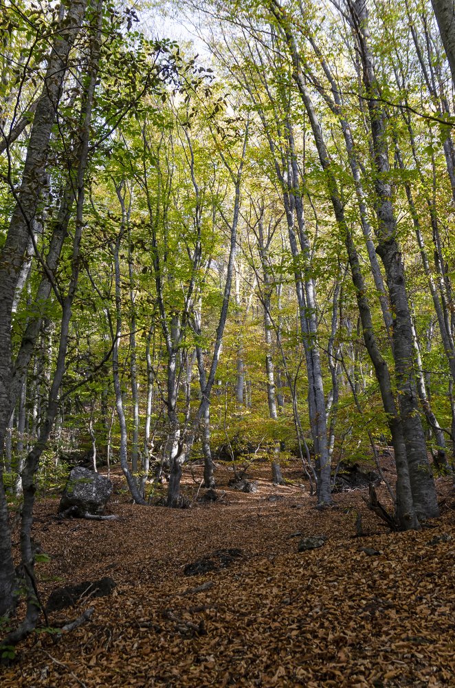 Photograph by Александр Щербаков