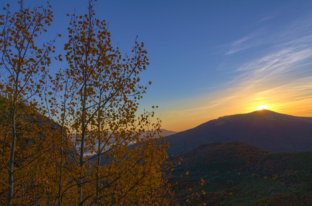 Photograph by Александр Щербаков