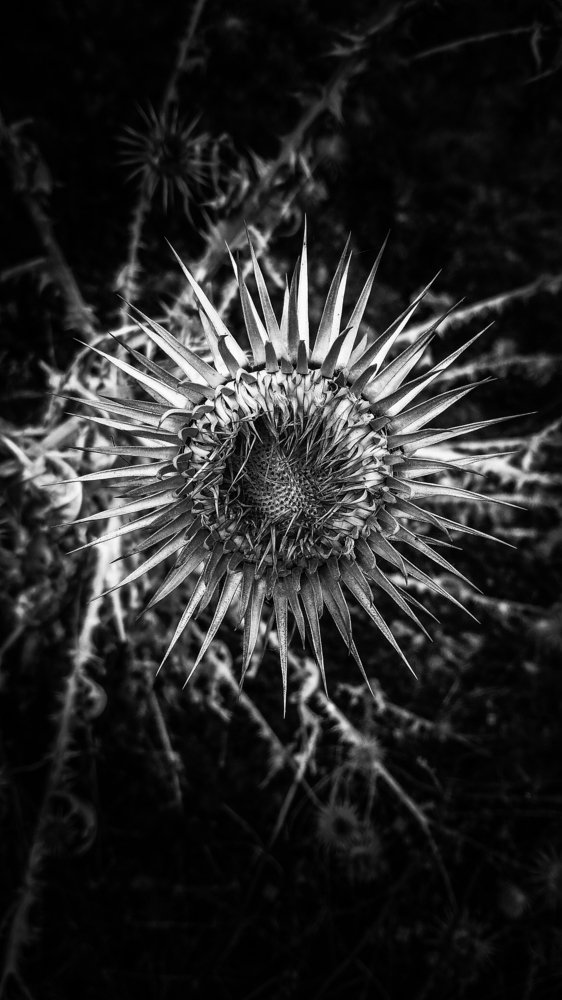 Photograph by Артём