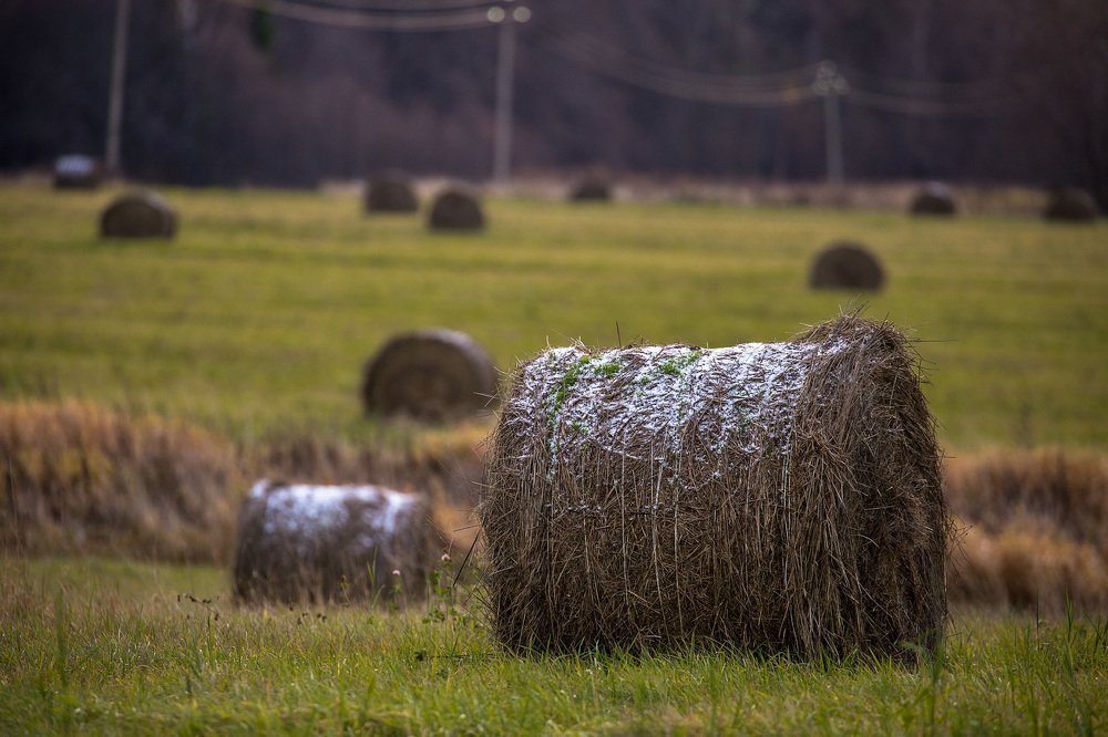 Фотография автора Виталий Смелик