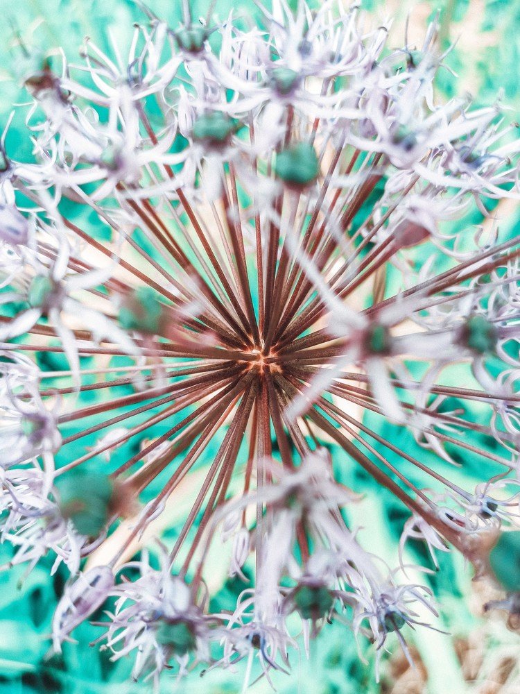 Photograph by Ольга Ситникова