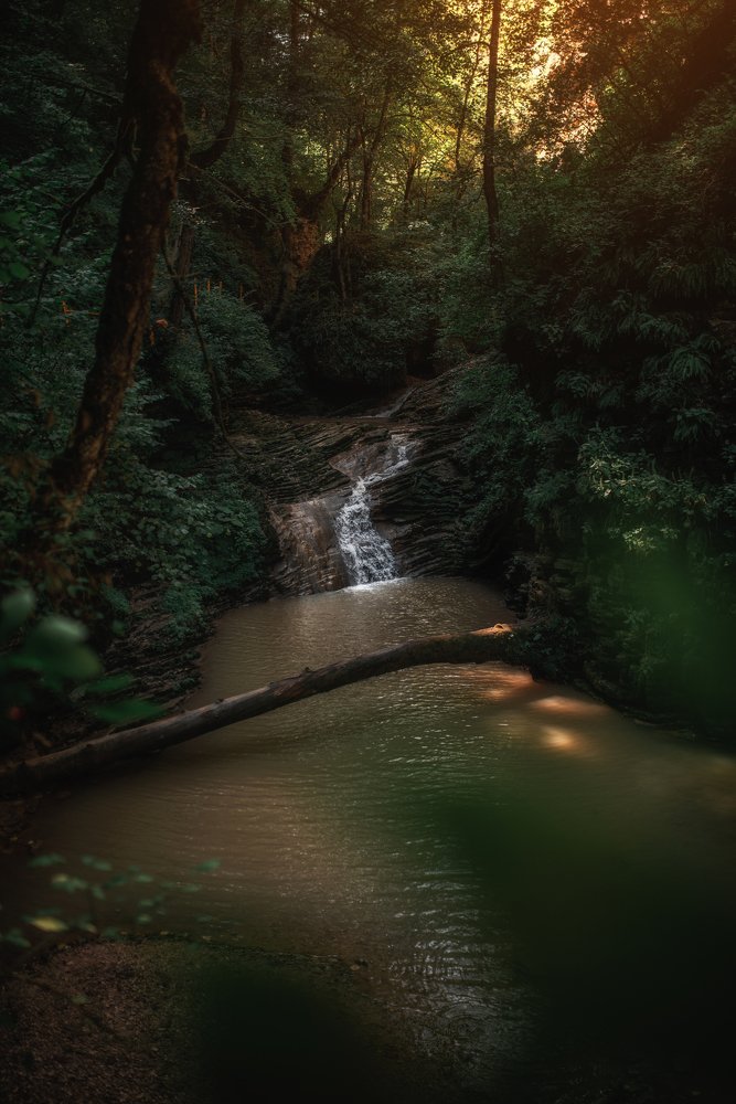 Photograph by Дмитрий Величко