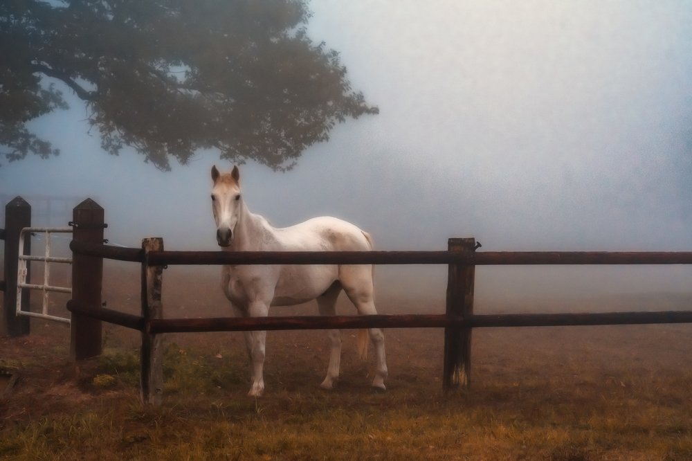 Photograph by Демьян Лопатов