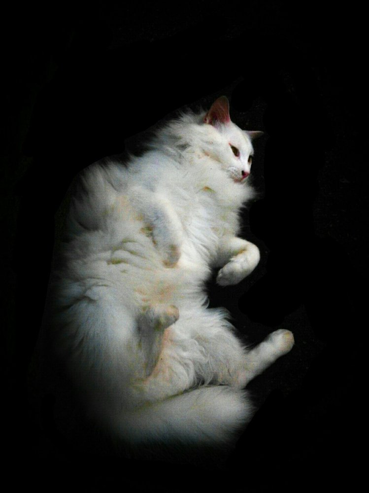 Photograph by Javier Rodriguez Rigual