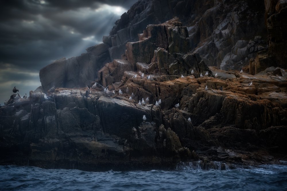 Photograph by Андрей Лабутин