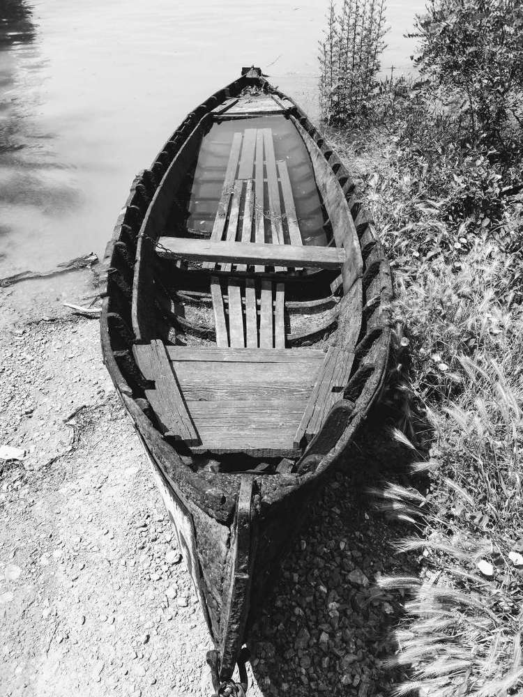 On Lom, Bulgaria beach