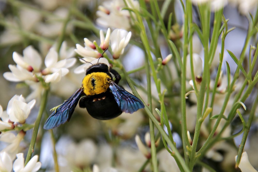 Photograph by Irina Radzinskaya