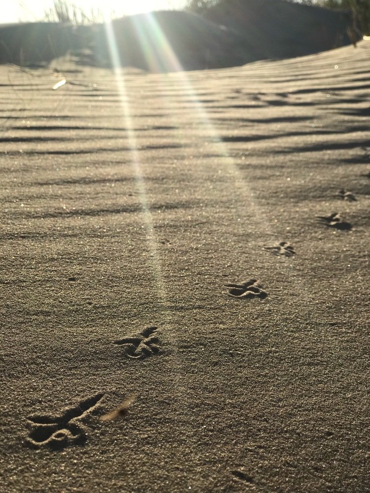 Photograph by Татьяна Машина