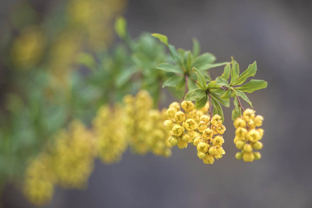 Photograph by Vladimir Soroka