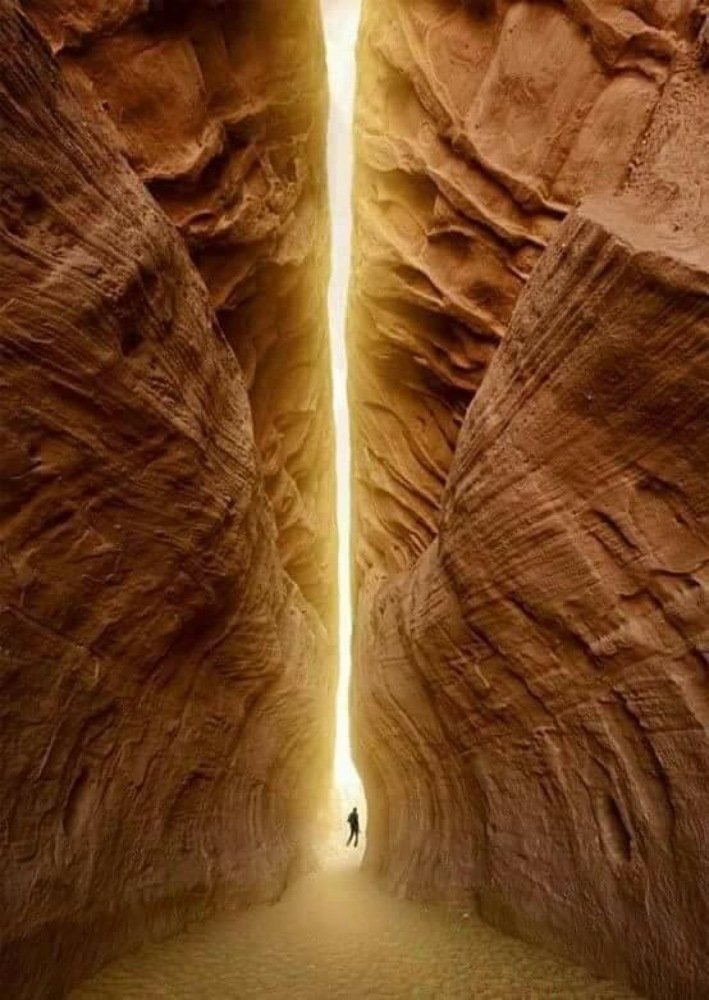 Photograph by Jorge Bachler Muñoz