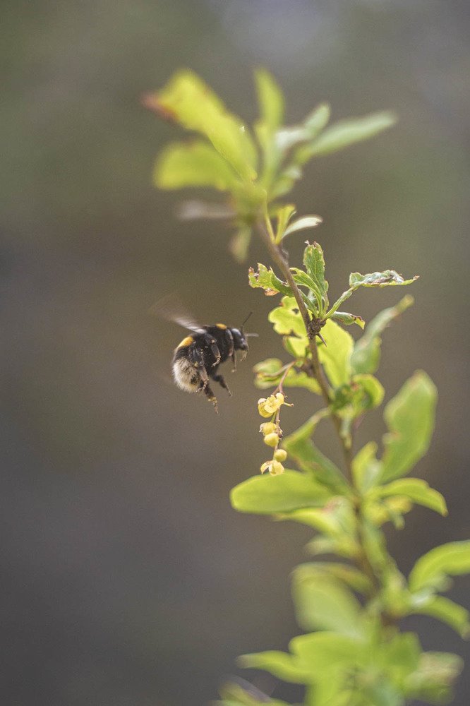 Photograph by Vladimir Soroka