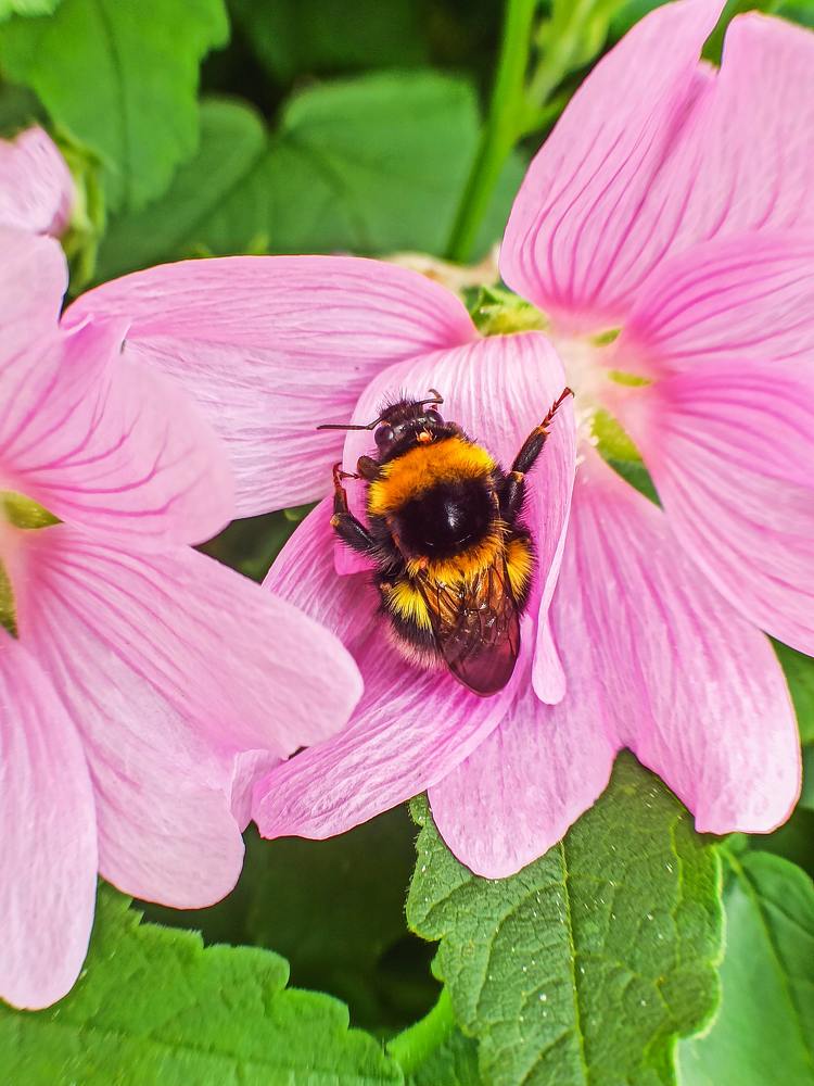 Photograph by Ольга Ситникова