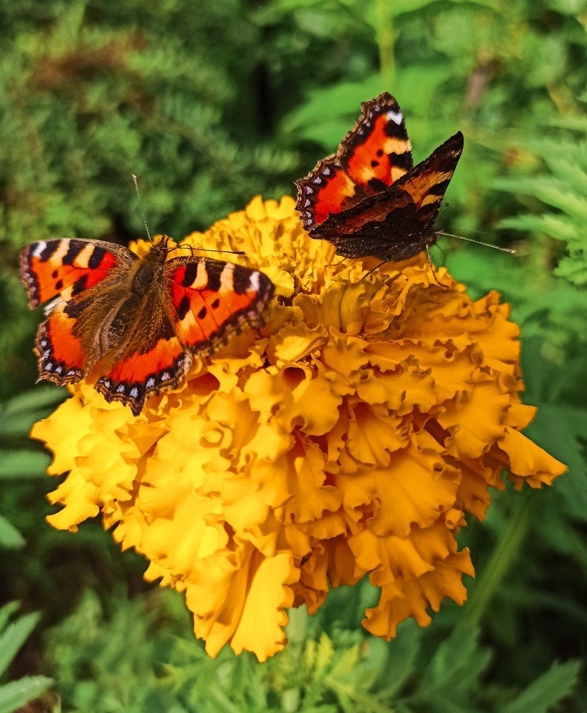 Photograph by Ольга Ситникова