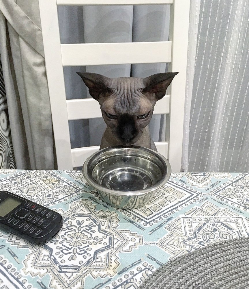 Photograph by Татьяна Машина