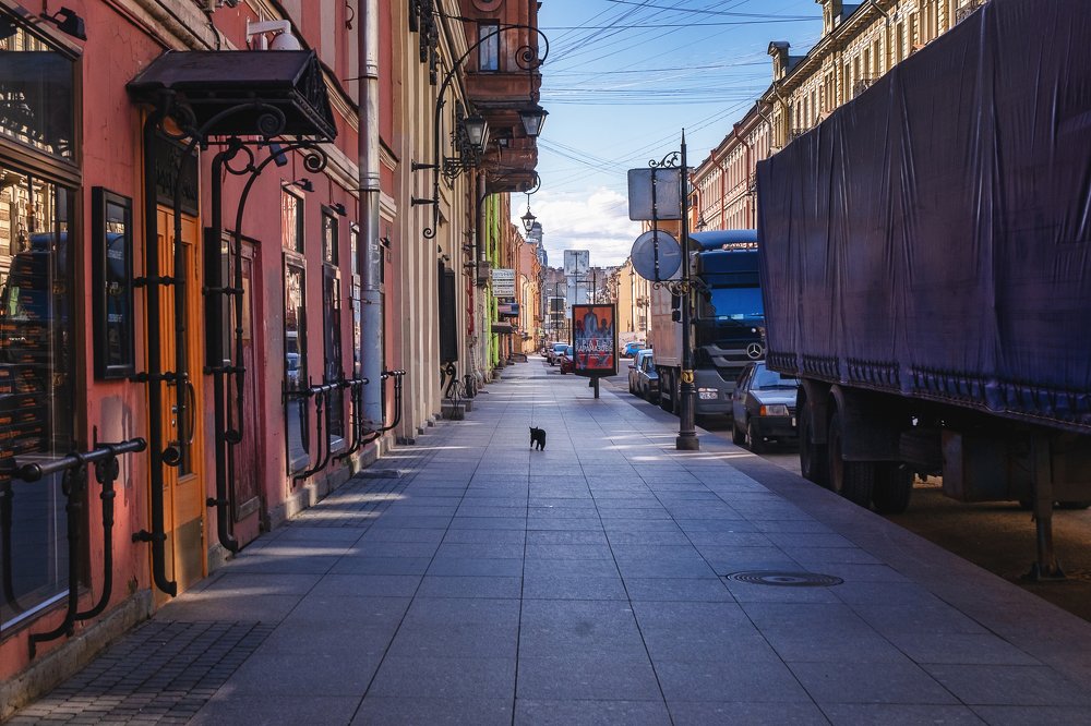 Photograph by Вавилова Елизавета