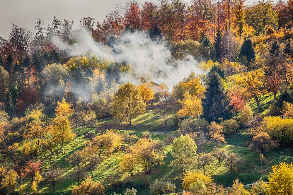 Photograph by Elena Gebert