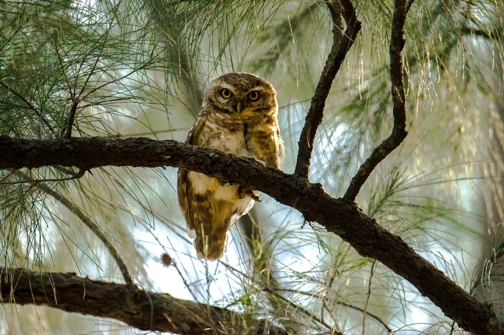 Photograph by Nabarun Majumdar